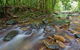 Iron Pot Creek Campground - thumb 2