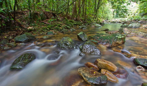 Iron Pot Creek Campground - Accommodation Redcliffe 2