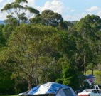 Milton Valley Holiday Park - Accommodation Redcliffe