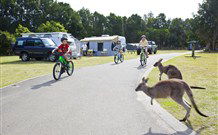 Murramarang Beachfront Nature Resort - Accommodation Redcliffe 4