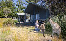 Murramarang Beachfront Nature Resort - Accommodation Redcliffe 10