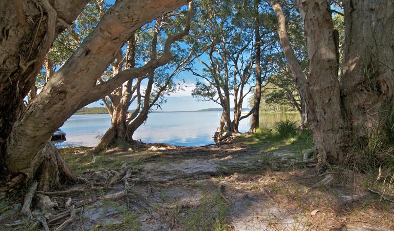 Bungwahl NSW Accommodation Redcliffe