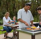 Port Stephens Treescape - Accommodation Redcliffe