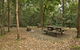 Sheepstation Creek Campground - thumb 0
