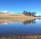 Bombala Maneroo Motel - Bombala - Accommodation Redcliffe