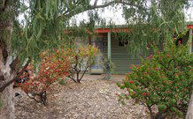 Lightning Ridge Outback Resort And Caravan Park - Lightning Ridge - Accommodation Redcliffe 3