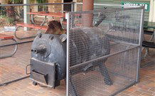 Lightning Ridge Outback Resort And Caravan Park - Lightning Ridge - Accommodation Redcliffe 7