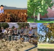 Southern Cross Motor Inn - Accommodation Redcliffe