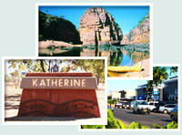 Red Gum Tourist Park - Accommodation Redcliffe 0