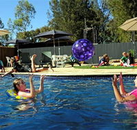 Kingston On Murray Caravan Park - Accommodation Redcliffe