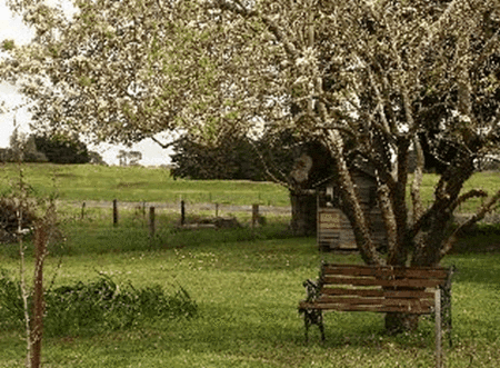 Lemon Gum B And B - Accommodation Redcliffe 2
