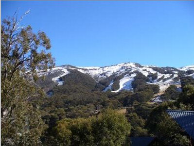 Alpenhorn Lodge - Accommodation Redcliffe 1