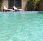 Toreador Motel - Coffs Harbour - Accommodation Redcliffe