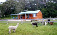 Moorallie Cottage Farm Stay - Accommodation Redcliffe 0