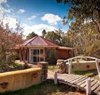 Starline Alpaca Farm Stay - Accommodation Redcliffe
