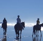 Whispering Brook - Accommodation Redcliffe