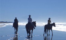 Whispering Brook - Accommodation Redcliffe 0