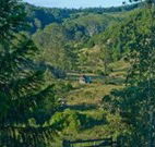 Yarralong BnB and Farm Stay - Accommodation Redcliffe
