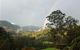Cougal Park Bed And Breakfast - thumb 2