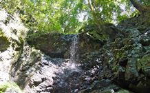 Cougal Park Bed And Breakfast - Accommodation Redcliffe 3