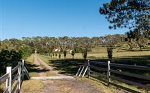 Cruickshanks Armidale Bed And Breakfast - Accommodation Redcliffe 1