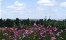 Cruickshanks Armidale Bed And Breakfast - Accommodation Redcliffe 4