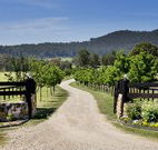 Pemberley Grange Hunter Valley Getaway - Accommodation Redcliffe