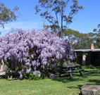 Studio Cottages - Accommodation Redcliffe