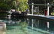 Telegraph Retreat - - thumb 3