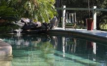Telegraph Retreat - - Accommodation Redcliffe 3