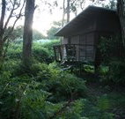 Mount Seaview Resort - Accommodation Redcliffe