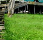 Snowy Valley Resort - Accommodation Redcliffe
