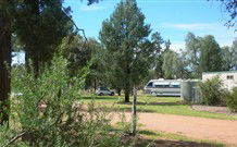 Carrie's Cottage - Accommodation Redcliffe 2