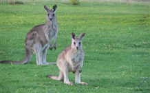 Leslie Cottage - Accommodation Redcliffe 6