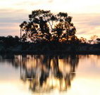 Myuna Bay Sport and Recreation Centre - Accommodation Redcliffe