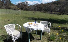 Pinegrove Cottage - Accommodation Redcliffe 5