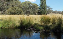 Pinegrove Cottage - Accommodation Redcliffe 3