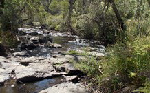 Pinegrove Cottage - Accommodation Redcliffe 4