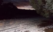Pinegrove Cottage - Accommodation Redcliffe 7