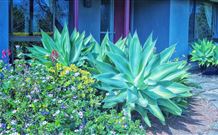 Jerrys Plains NSW Accommodation Redcliffe