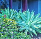 Retreat Homestead - Accommodation Redcliffe