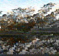 Greysen Farmstay - Accommodation Redcliffe