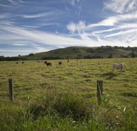Annas Retreat - Accommodation Redcliffe
