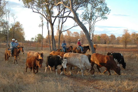 Myella Farmstay - Baralaba - Accommodation Redcliffe 7