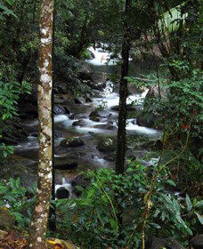 Daintree Secrets Waterfall Sanctuary - Accommodation Redcliffe 1