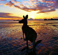 Cape Hillsborough Nature Tourist Park - Accommodation Redcliffe