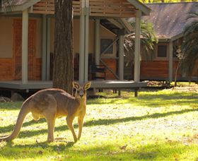 Carnarvon Gorge Wilderness Lodge - Accommodation Redcliffe 3