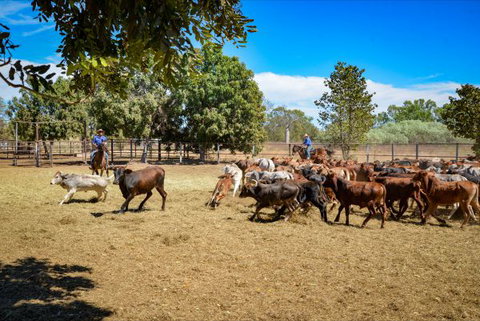 Bullo River Station - Accommodation Redcliffe 1