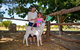 Bullo River Station - thumb 3