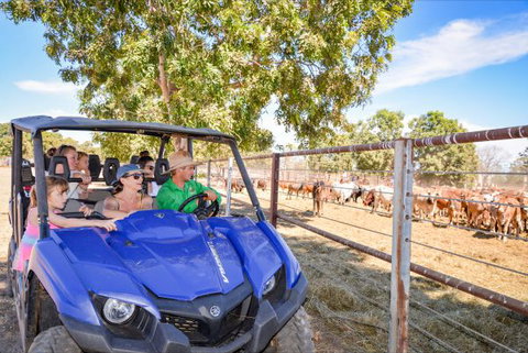 Bullo River Station - Accommodation Redcliffe 4